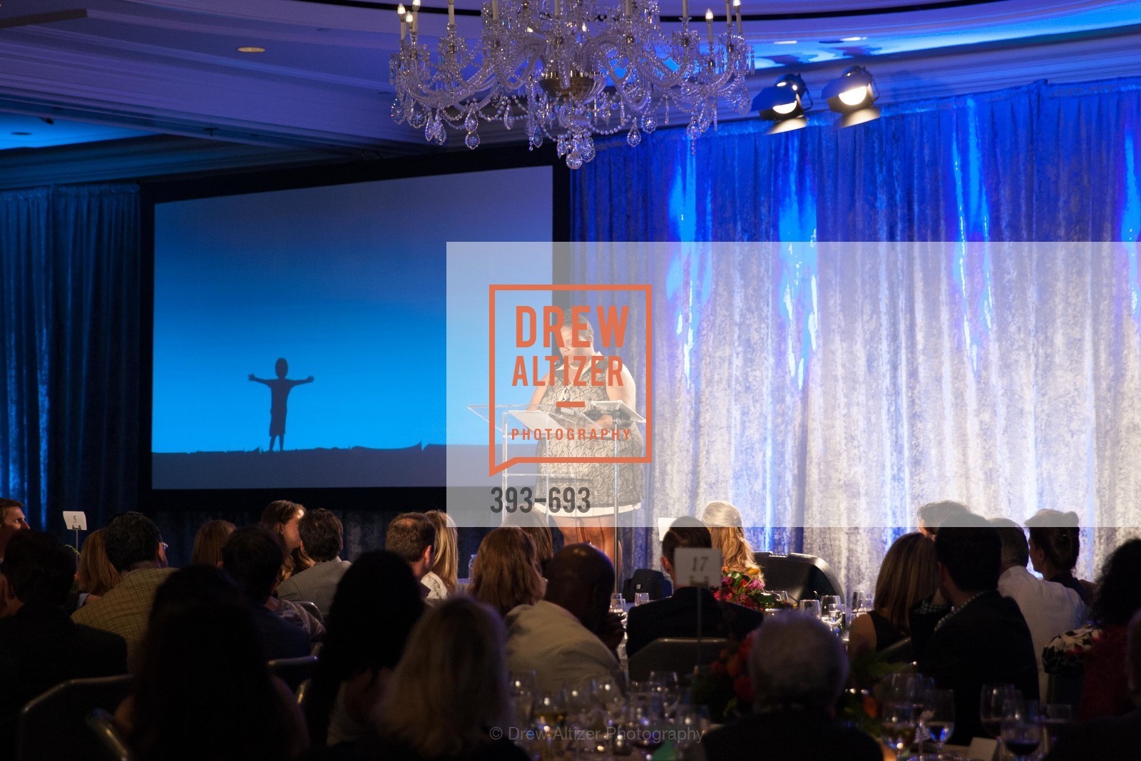 Shamarea Bailey, SFCASA'S Fostering Change Gala: Room Without A Roof, US, May 2nd, 2015,Drew Altizer, Drew Altizer Photography, full-service agency, private events, San Francisco photographer, photographer california
