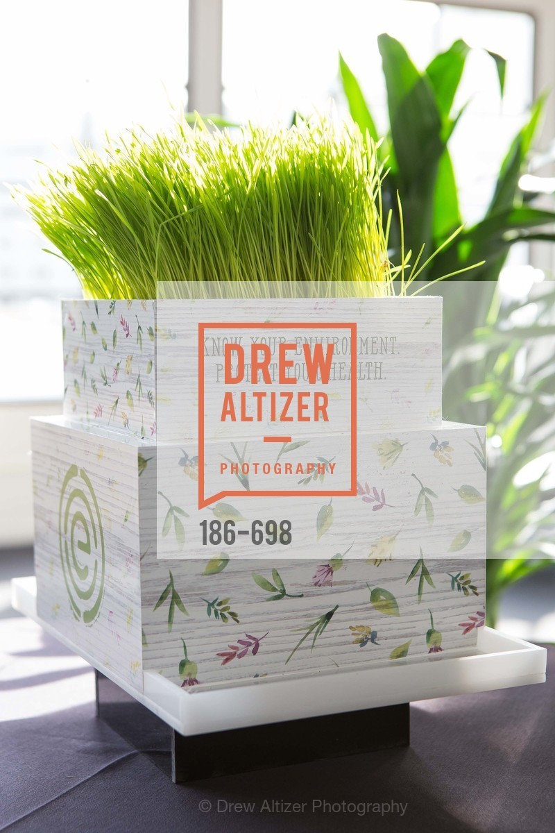 Atmosphere, EWG's 6th Annual Earth Dinner, US, May 6th, 2015,Drew Altizer, Drew Altizer Photography, full-service agency, private events, San Francisco photographer, photographer california