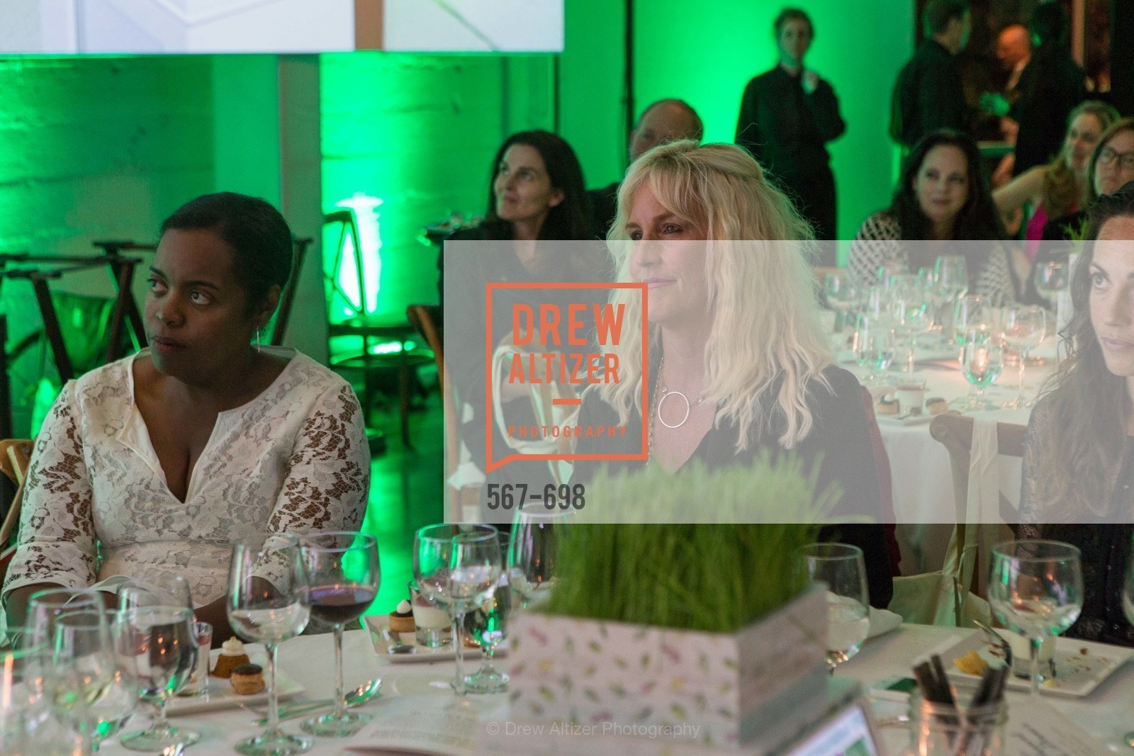 Erin Brockovich, EWG's 6th Annual Earth Dinner, US, May 6th, 2015,Drew Altizer, Drew Altizer Photography, full-service agency, private events, San Francisco photographer, photographer california