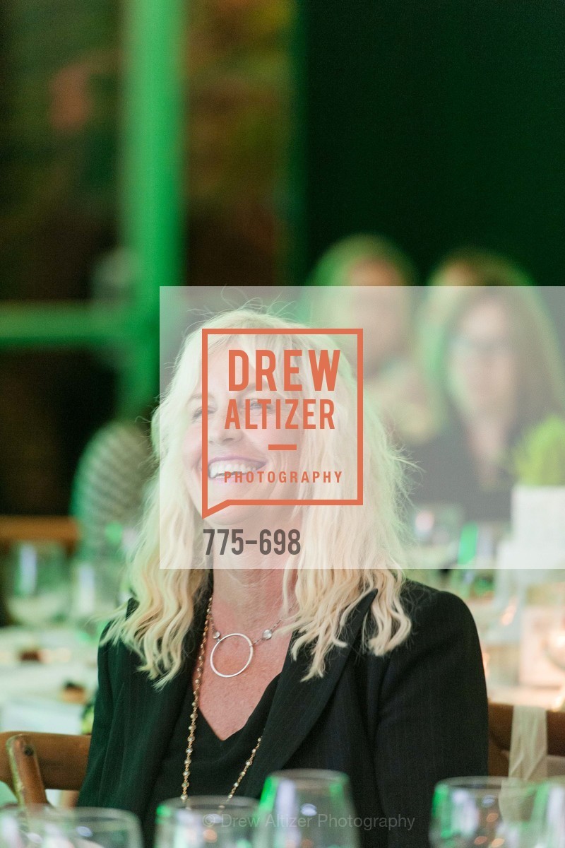 Erin Brockovich, EWG's 6th Annual Earth Dinner, US, May 6th, 2015,Drew Altizer, Drew Altizer Photography, full-service agency, private events, San Francisco photographer, photographer california