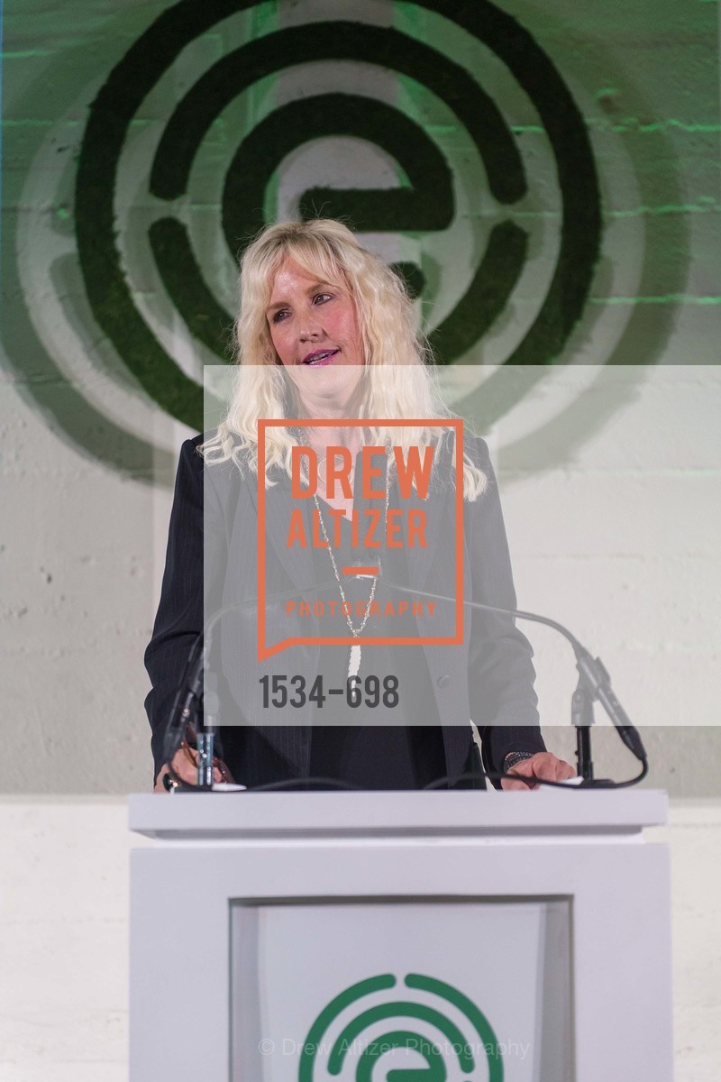 Erin Brockovich, EWG's 6th Annual Earth Dinner, US, May 6th, 2015,Drew Altizer, Drew Altizer Photography, full-service agency, private events, San Francisco photographer, photographer california