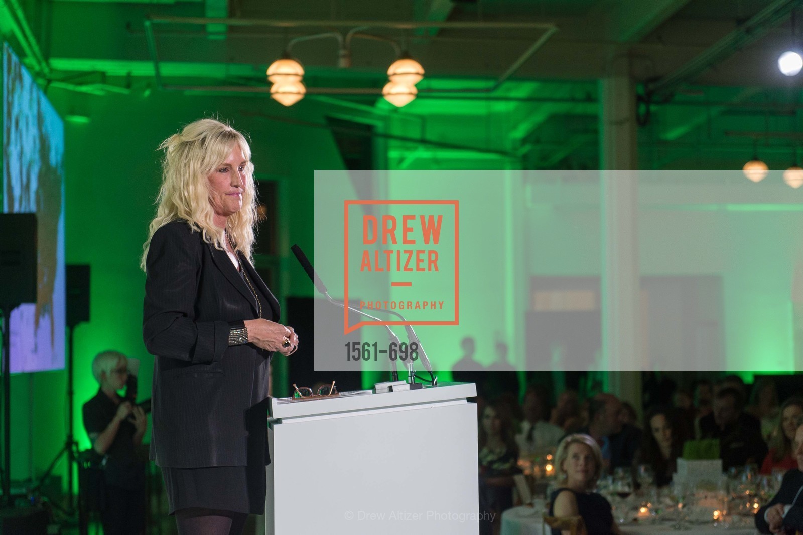 Erin Brockovich, EWG's 6th Annual Earth Dinner, US, May 6th, 2015,Drew Altizer, Drew Altizer Photography, full-service agency, private events, San Francisco photographer, photographer california
