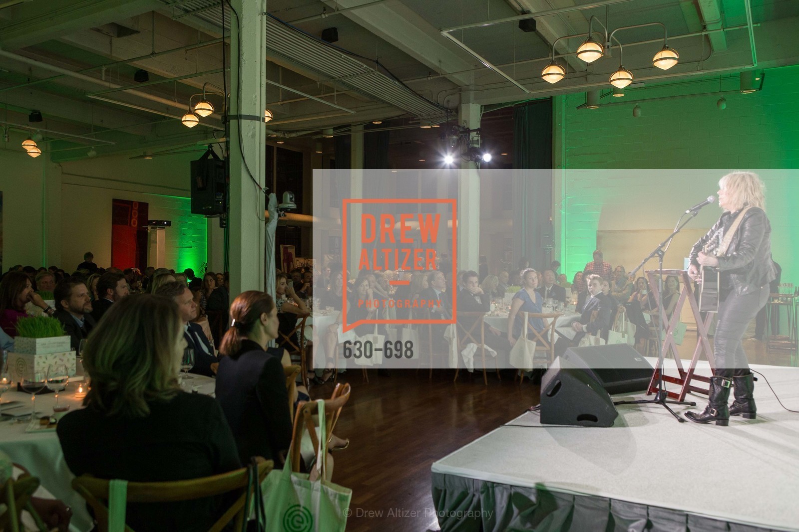 Performance, EWG's 6th Annual Earth Dinner, US, May 6th, 2015