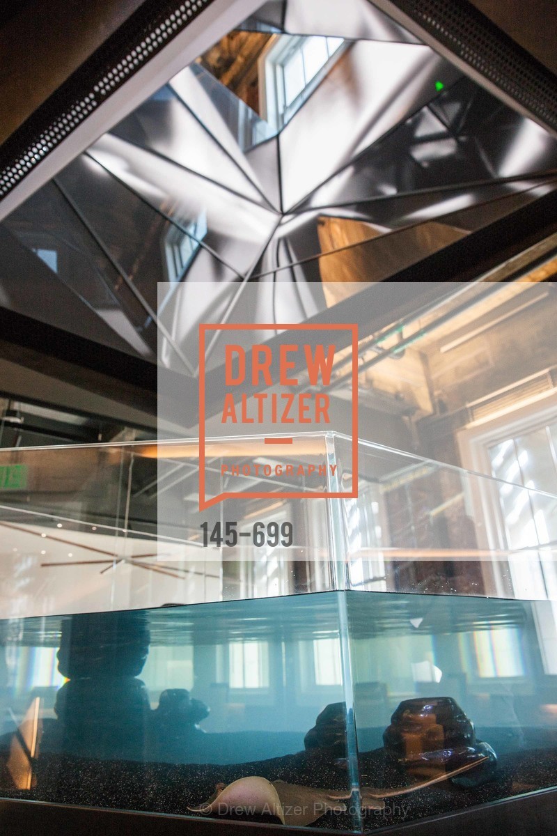Atmosphere, BLOOMBERG Office Opening, US, May 7th, 2015,Drew Altizer, Drew Altizer Photography, full-service agency, private events, San Francisco photographer, photographer california