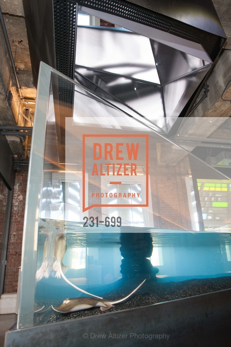 Atmosphere, BLOOMBERG Office Opening, US, May 7th, 2015,Drew Altizer, Drew Altizer Photography, full-service agency, private events, San Francisco photographer, photographer california