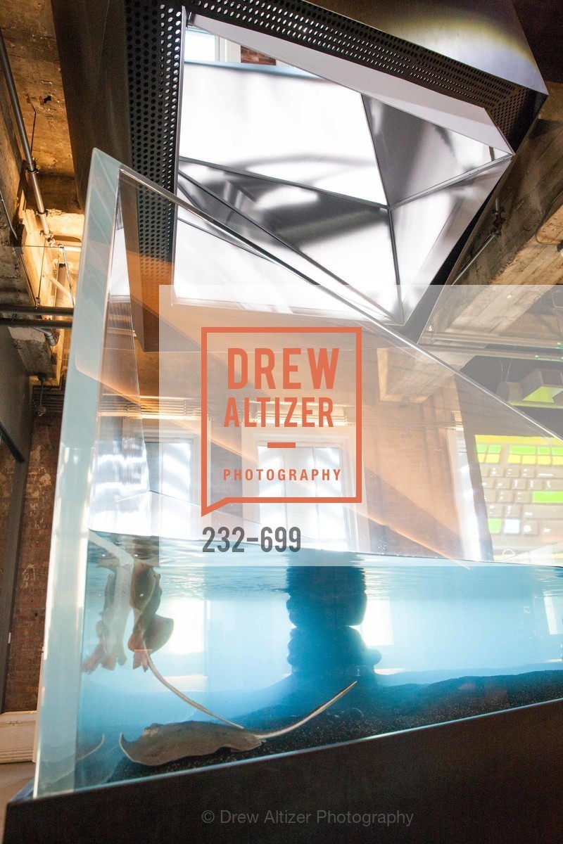Atmosphere, BLOOMBERG Office Opening, US, May 7th, 2015,Drew Altizer, Drew Altizer Photography, full-service agency, private events, San Francisco photographer, photographer california