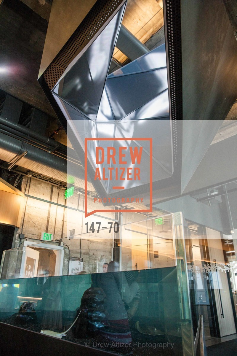 Extras, Bloomberg Tech Hosts New San Francisco Office Opening Party, May 6th, 2015, Photo,Drew Altizer, Drew Altizer Photography, full-service event agency, private events, San Francisco photographer, photographer California