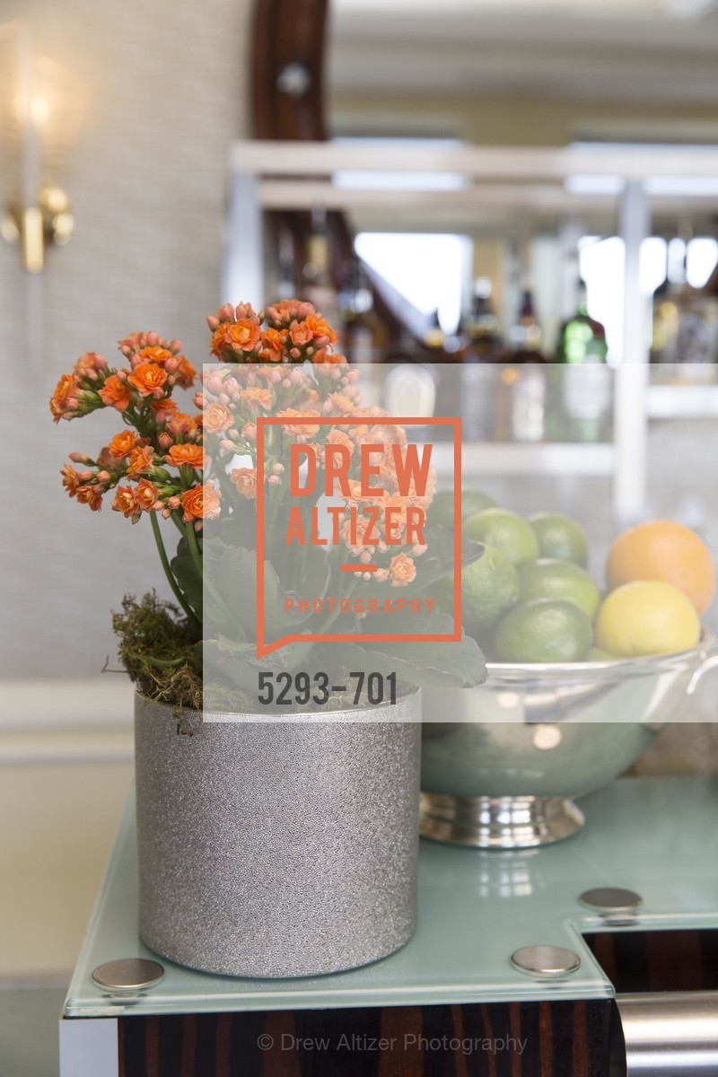 Atmosphere, SUMMER SEARCH San Francisco 25th Anniversary, US, May 7th, 2015,Drew Altizer, Drew Altizer Photography, full-service event agency, private events, San Francisco photographer, photographer California