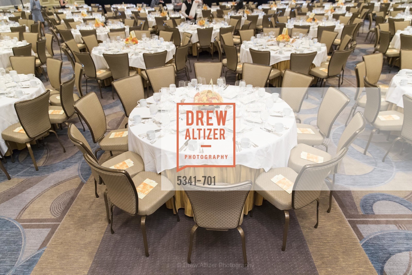 Atmosphere, SUMMER SEARCH San Francisco 25th Anniversary, US, May 7th, 2015,Drew Altizer, Drew Altizer Photography, full-service agency, private events, San Francisco photographer, photographer california