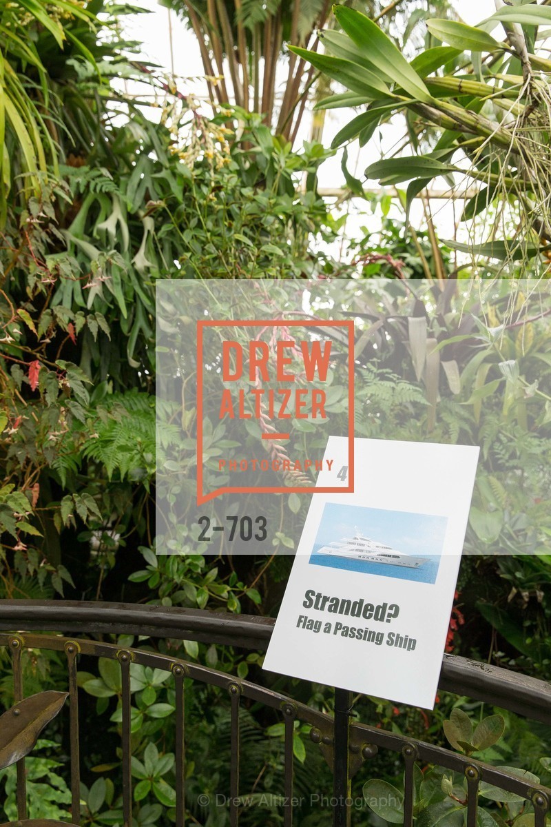 Atmosphere, CONSERVATORY OF FLOWERS Presents