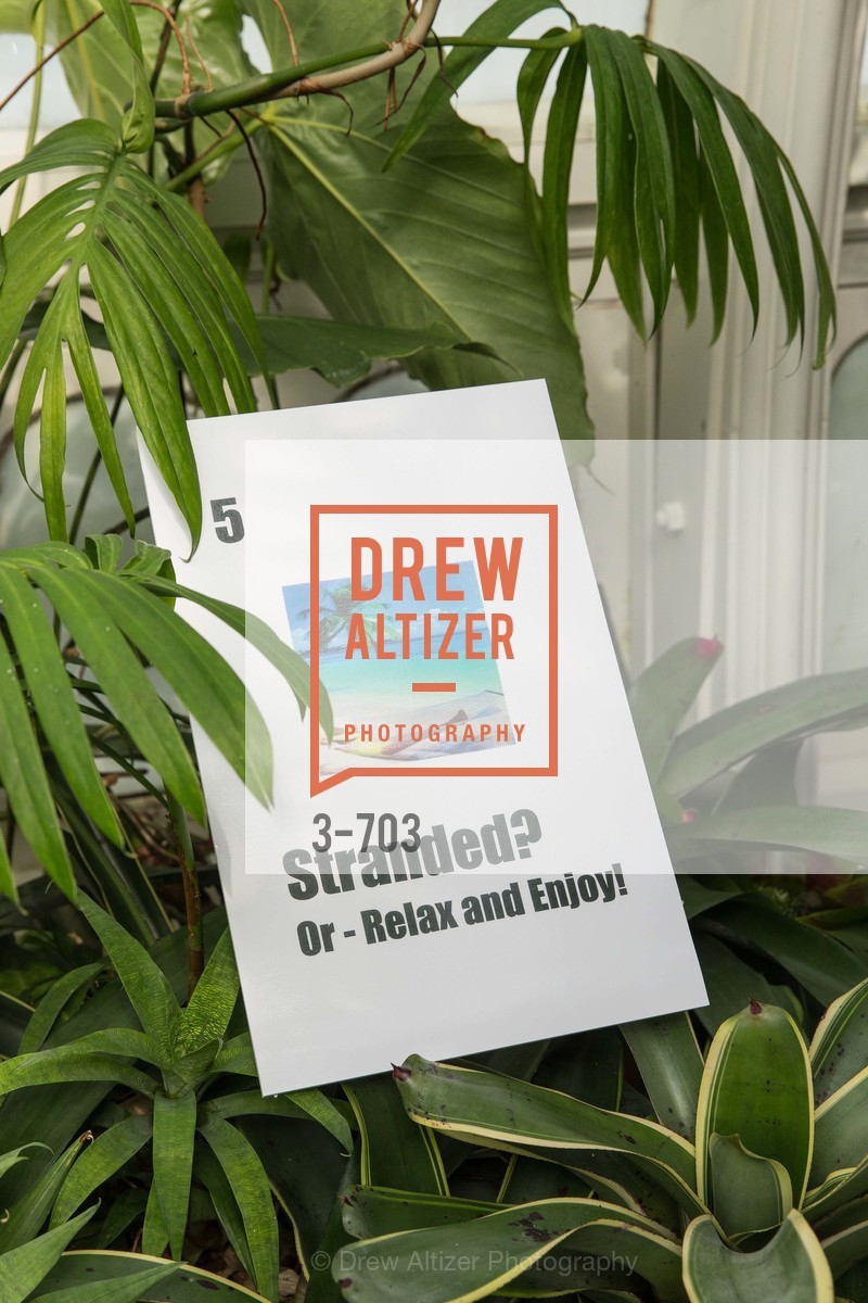 Atmosphere, CONSERVATORY OF FLOWERS Presents