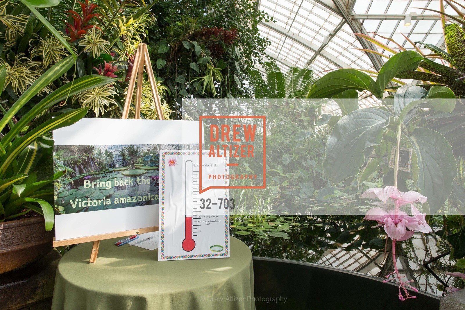 Atmosphere, CONSERVATORY OF FLOWERS Presents