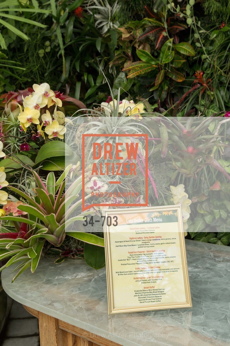 Atmosphere, CONSERVATORY OF FLOWERS Presents