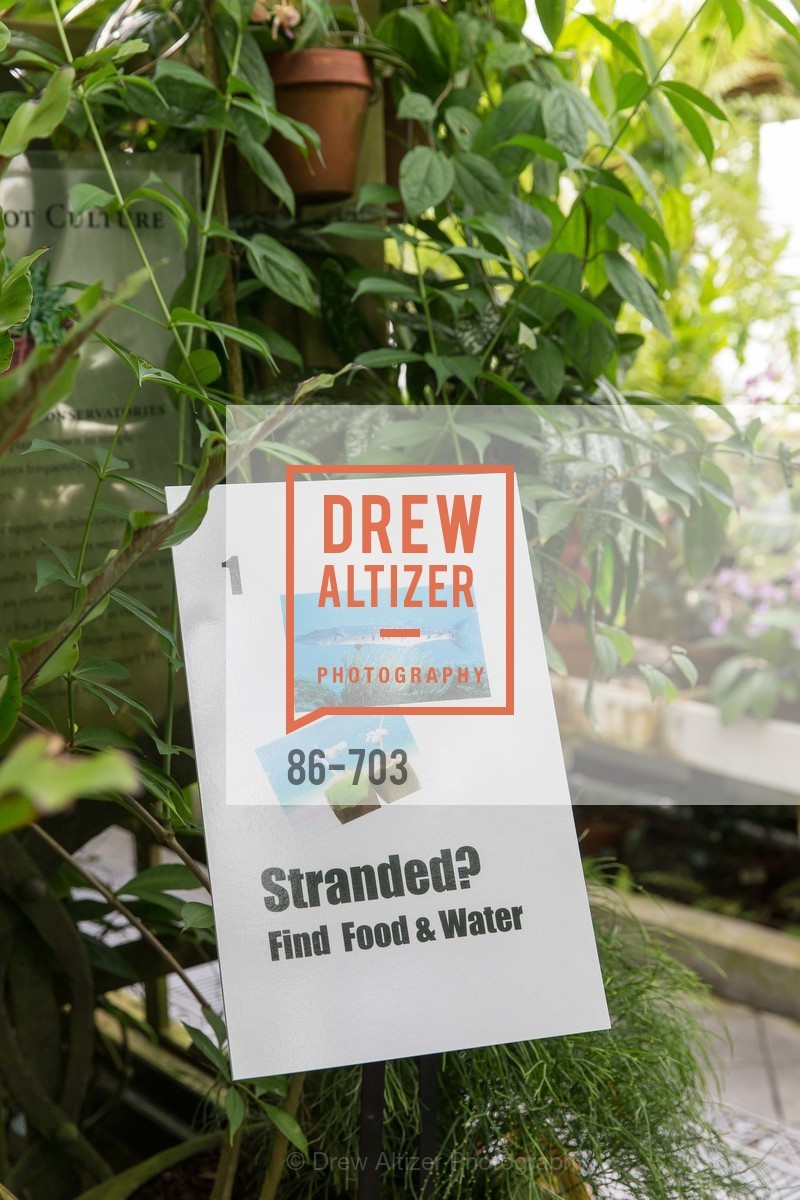 Atmosphere, CONSERVATORY OF FLOWERS Presents