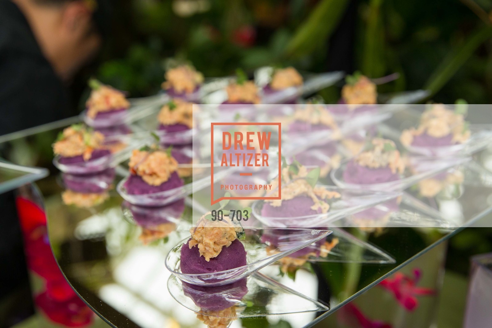 Atmosphere, CONSERVATORY OF FLOWERS Presents