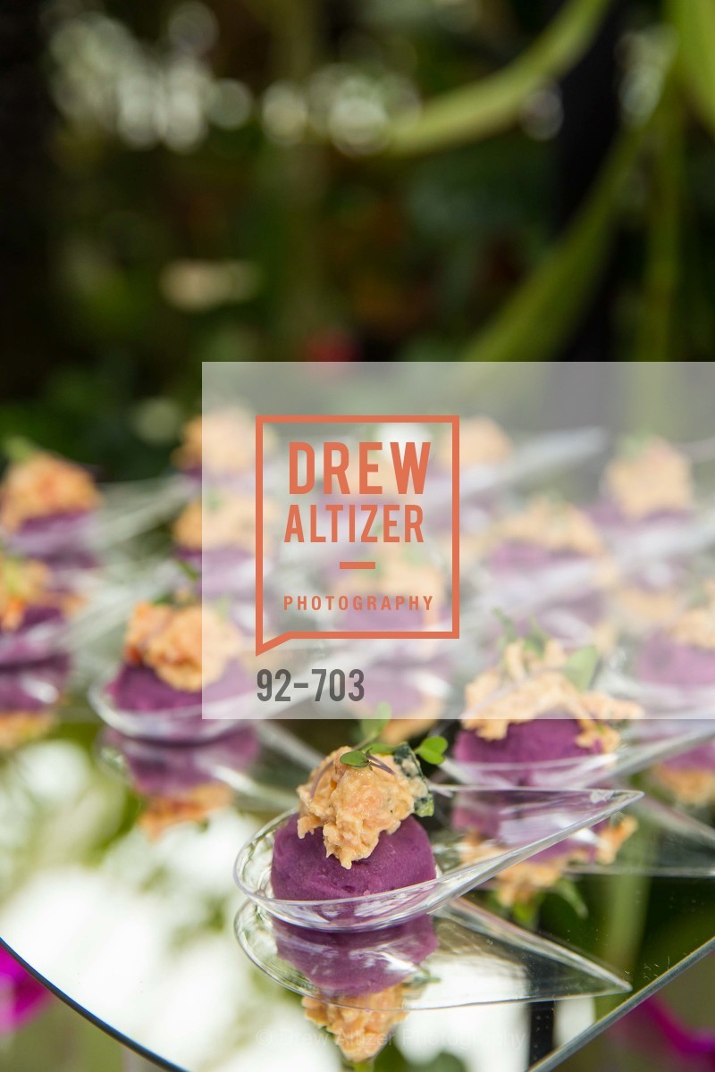 Atmosphere, CONSERVATORY OF FLOWERS Presents