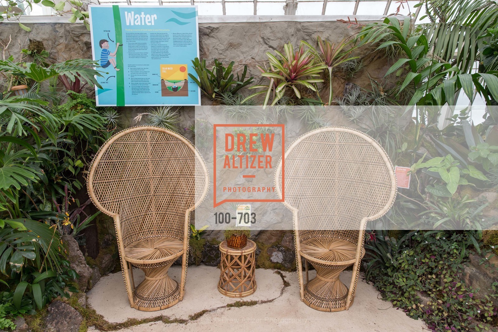 Atmosphere, CONSERVATORY OF FLOWERS Presents