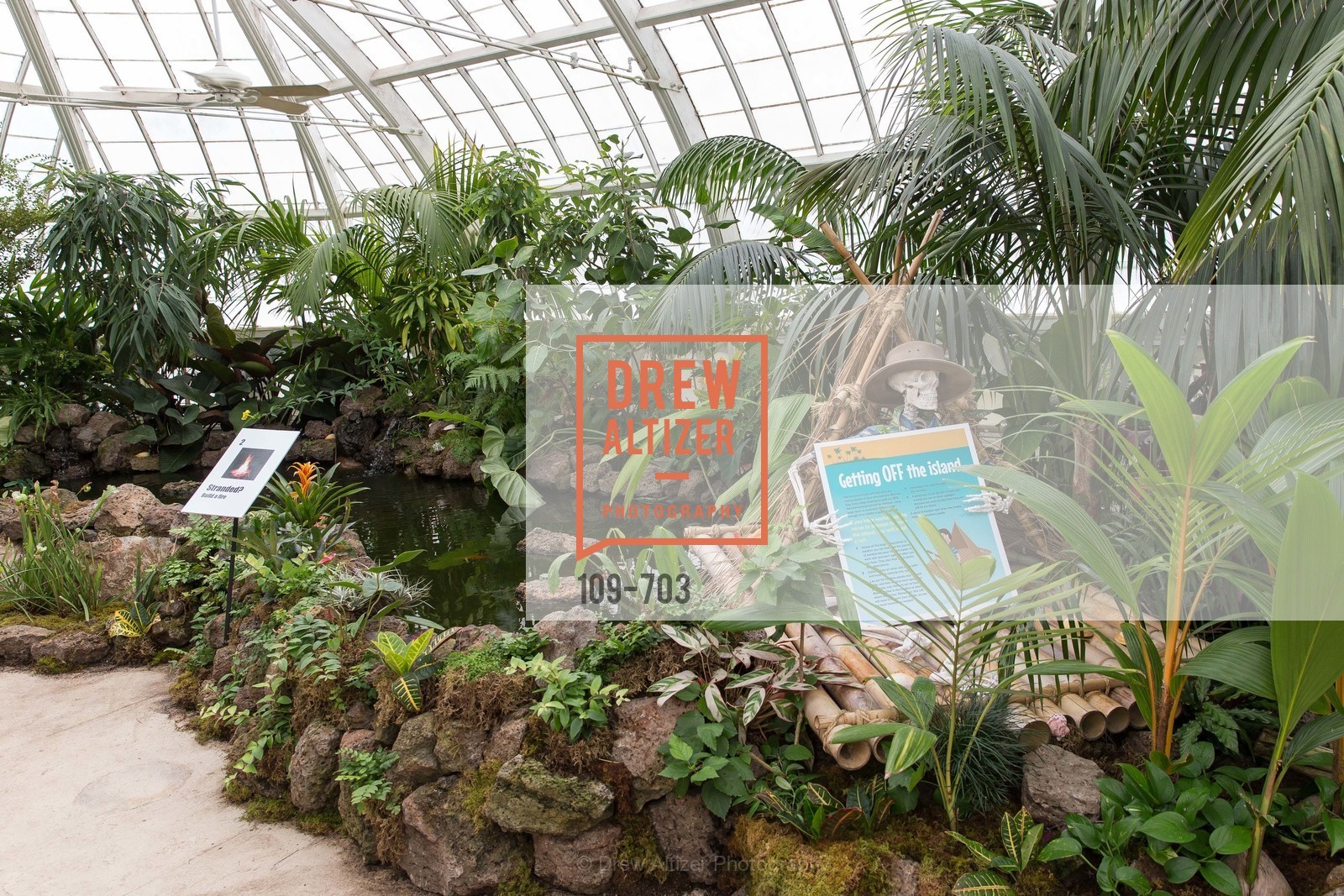 Atmosphere, CONSERVATORY OF FLOWERS Presents