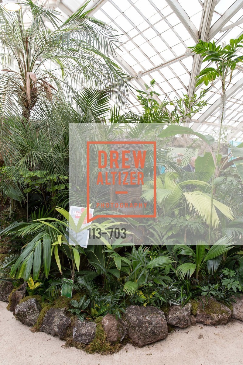 Atmosphere, CONSERVATORY OF FLOWERS Presents