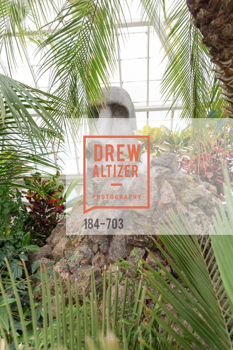 Atmosphere, CONSERVATORY OF FLOWERS Presents