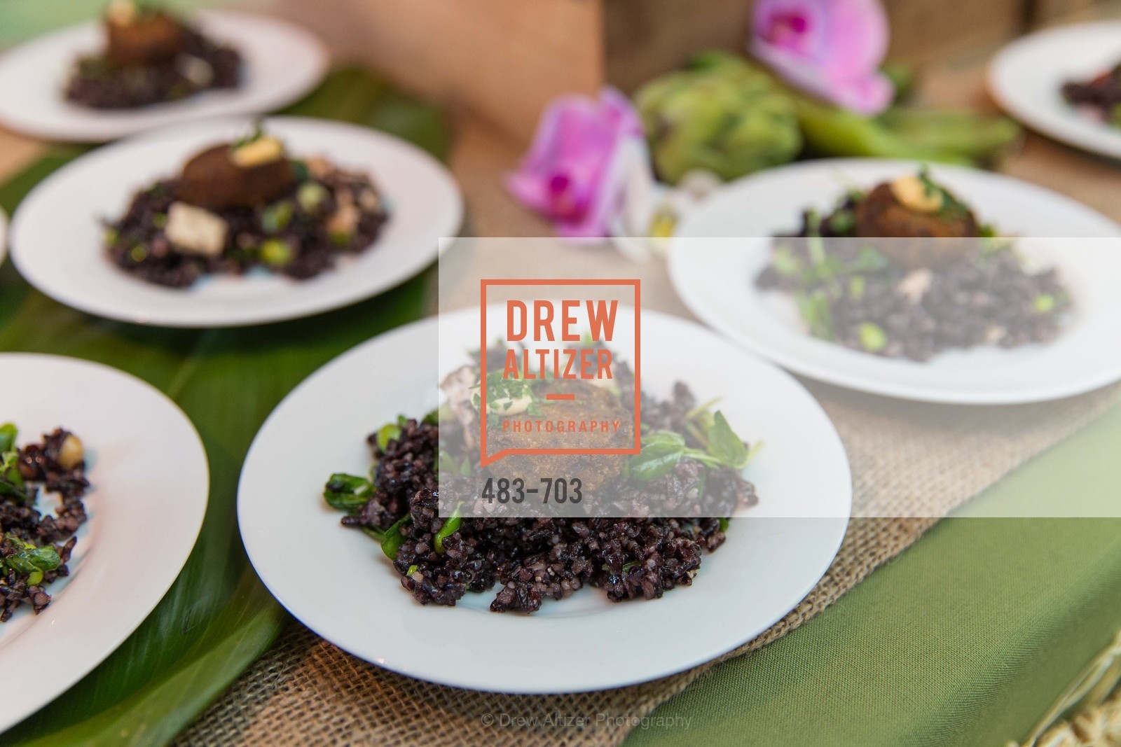 Atmosphere, CONSERVATORY OF FLOWERS Presents