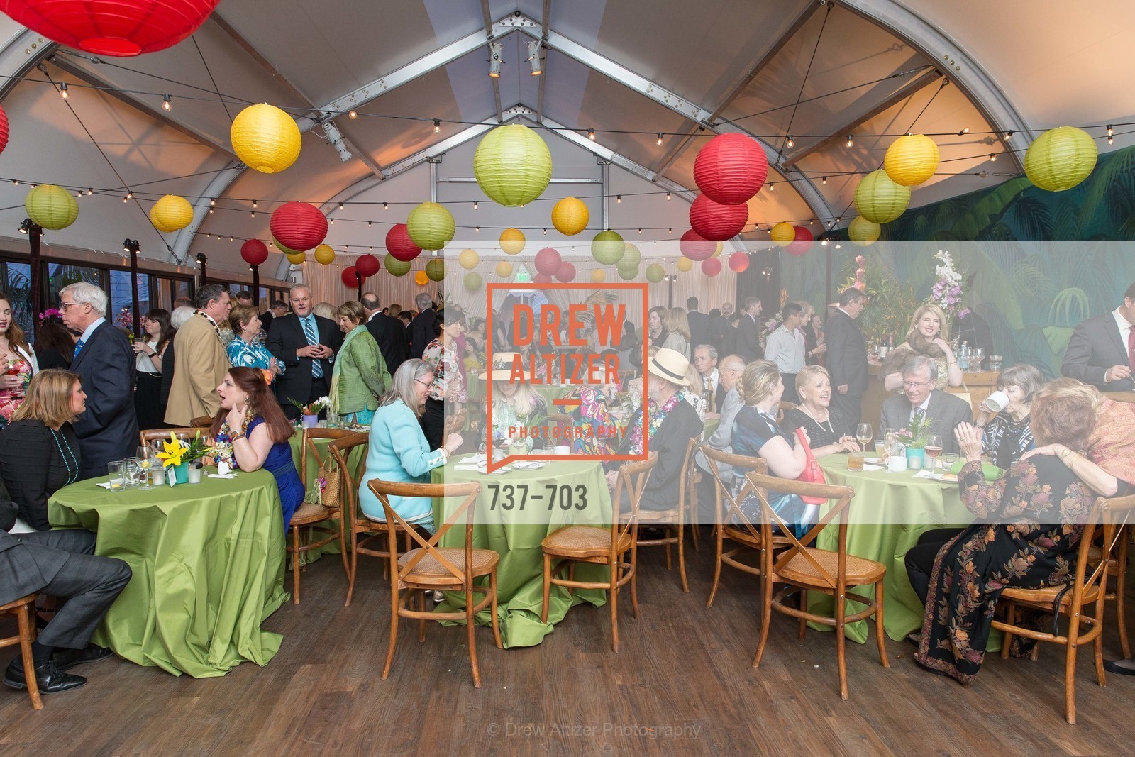 Atmosphere, CONSERVATORY OF FLOWERS Presents