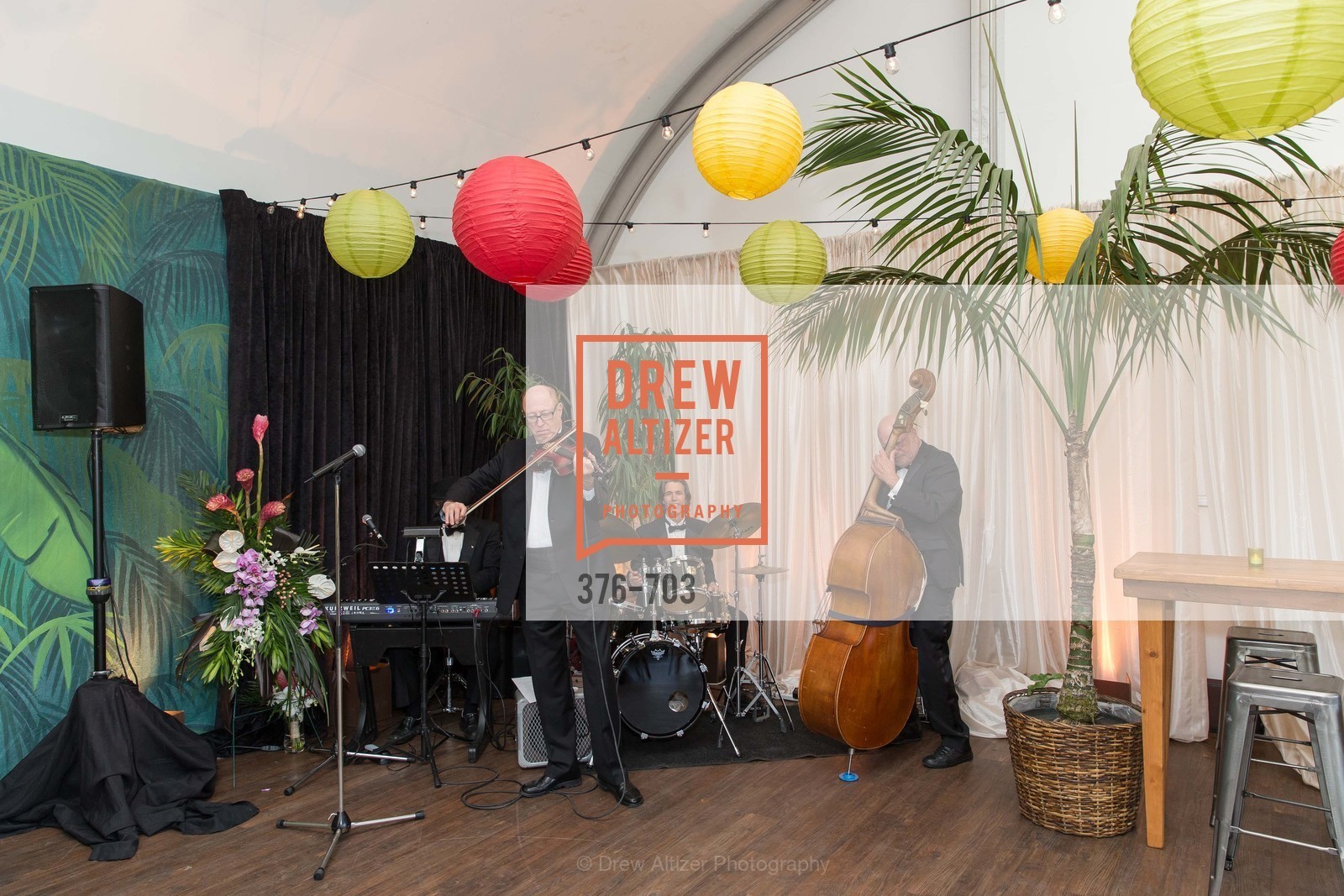 Performance By Dick Bright Orchestra, CONSERVATORY OF FLOWERS Presents