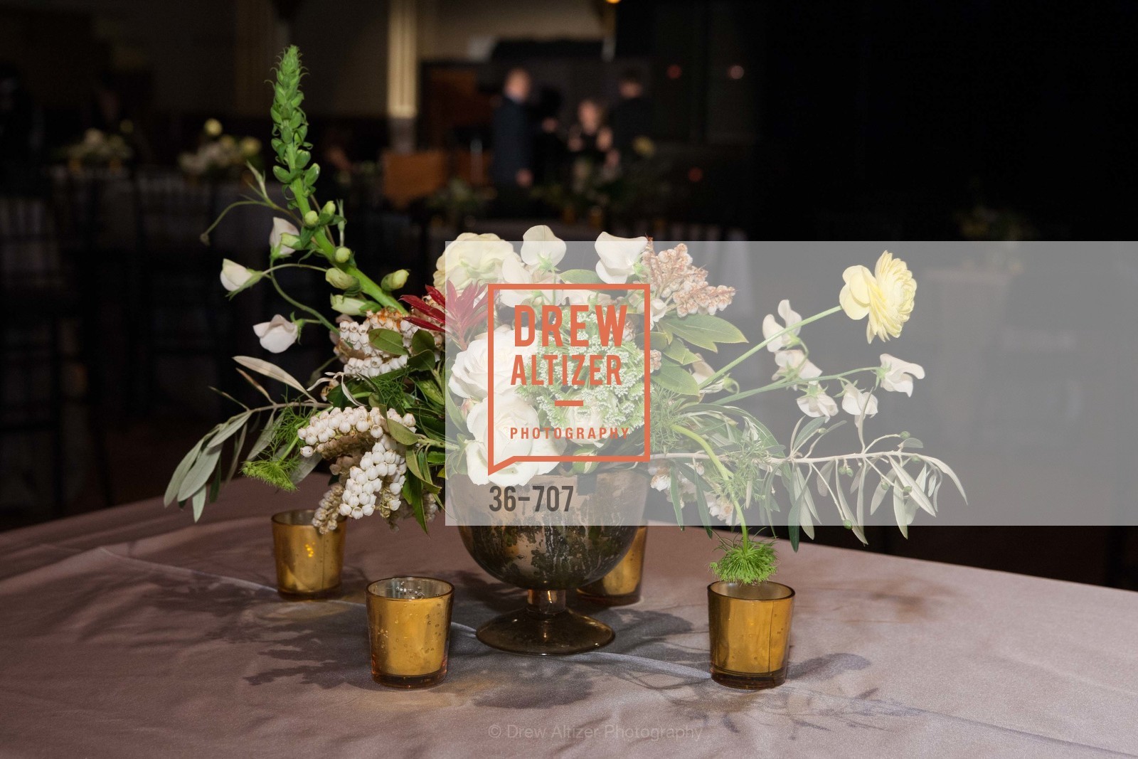 Atmosphere, OAKLAND SCHOOL FOR THE ARTS Gala 2015 with Governor Jerry Brown, US, May 8th, 2015,Drew Altizer, Drew Altizer Photography, full-service agency, private events, San Francisco photographer, photographer california