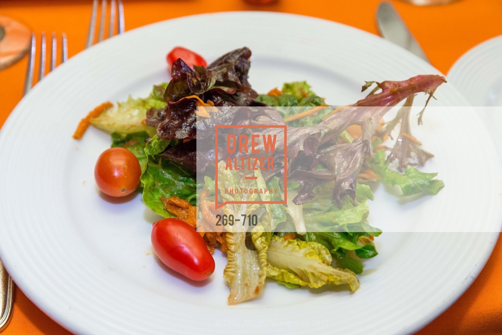 Atmosphere, 3-RING LUNCH CELEBRATION Honoring RENEL BROOKS-MOON, US, June 8th, 2015,Drew Altizer, Drew Altizer Photography, full-service agency, private events, San Francisco photographer, photographer california