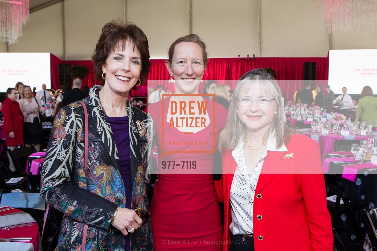 Ruth Ann Stumpf, Rochelle Dicker, Brenda Bottum, 2013 HEROES & HEARTS LUNCEHON benefiting San Francisco General Hospital Foundation, US, February 14th, 2013, Photo #977-7119 Ruth Ann Stumpf, Rochelle Dicker, Brenda Bottum, Photo #977-7119