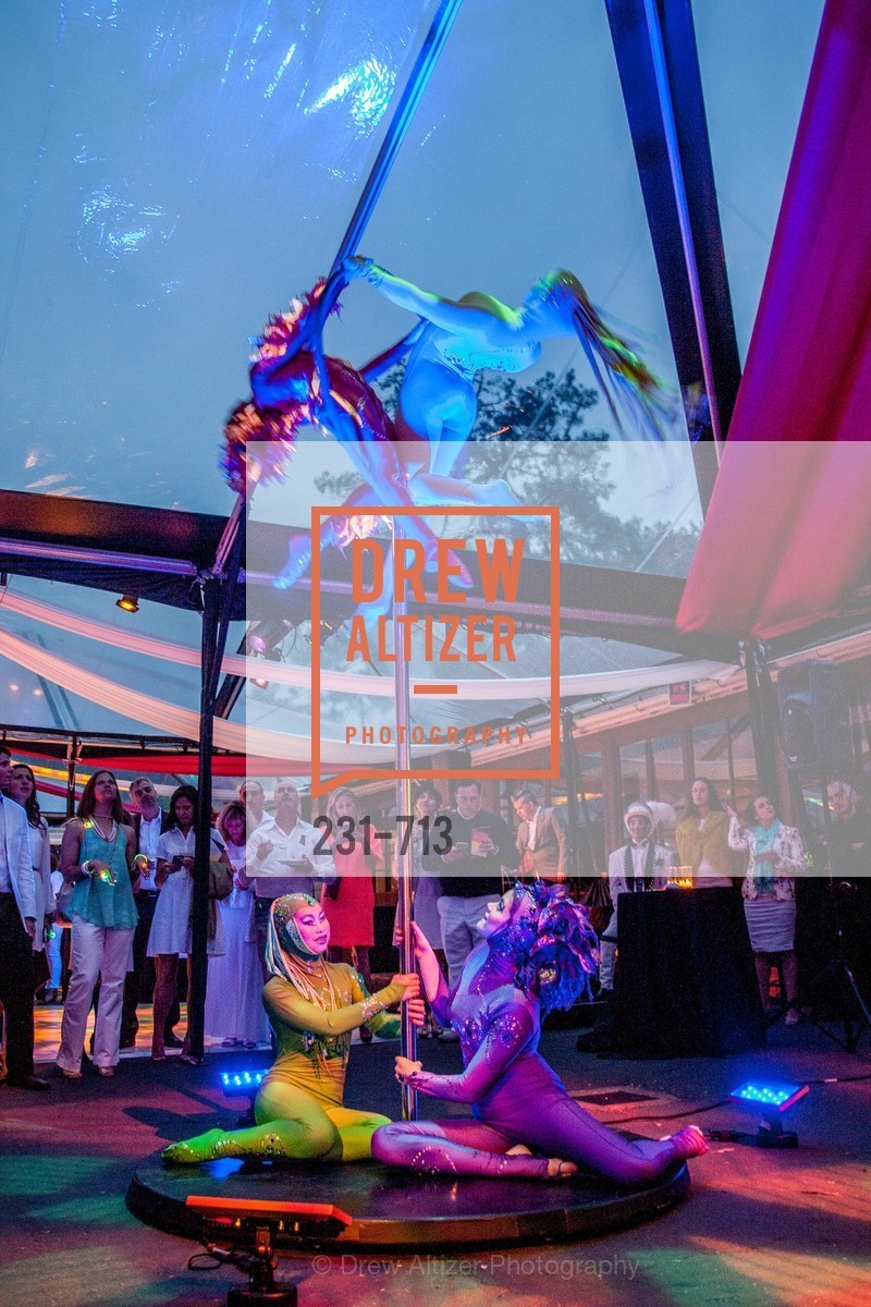 Atmosphere, THE BAY AREA DISCOVERY MUSEUM'S Playdate 2015: White to Bright, US, May 8th, 2015,Drew Altizer, Drew Altizer Photography, full-service agency, private events, San Francisco photographer, photographer california