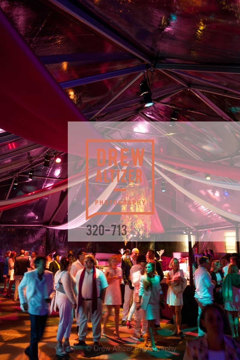 Atmosphere, THE BAY AREA DISCOVERY MUSEUM'S Playdate 2015: White to Bright, US, May 8th, 2015