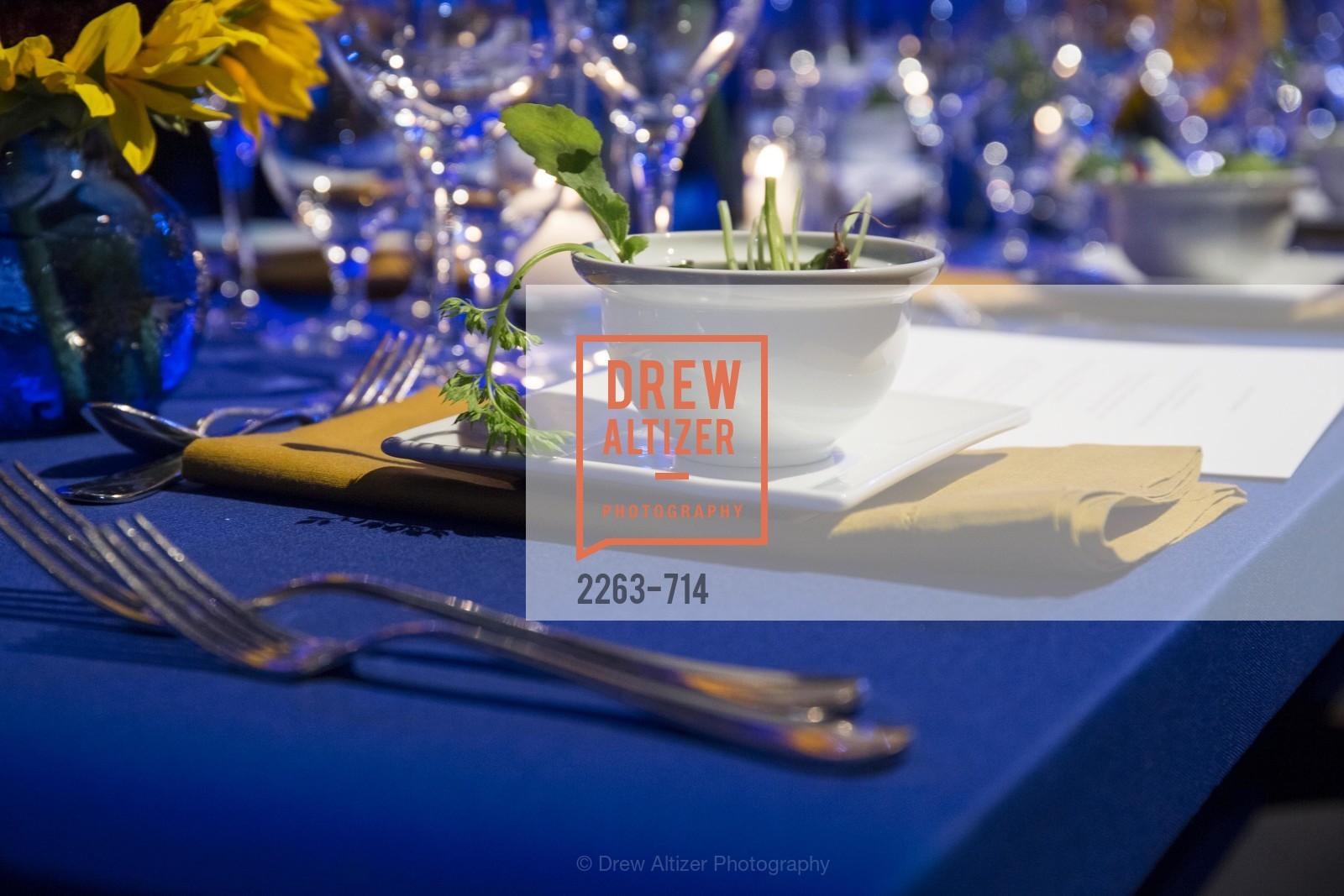Atmosphere, SFJAZZ Gala 2015 Honors Joni Mitchell with Lifetime Achievement Award, US, May 9th, 2015,Drew Altizer, Drew Altizer Photography, full-service agency, private events, San Francisco photographer, photographer california