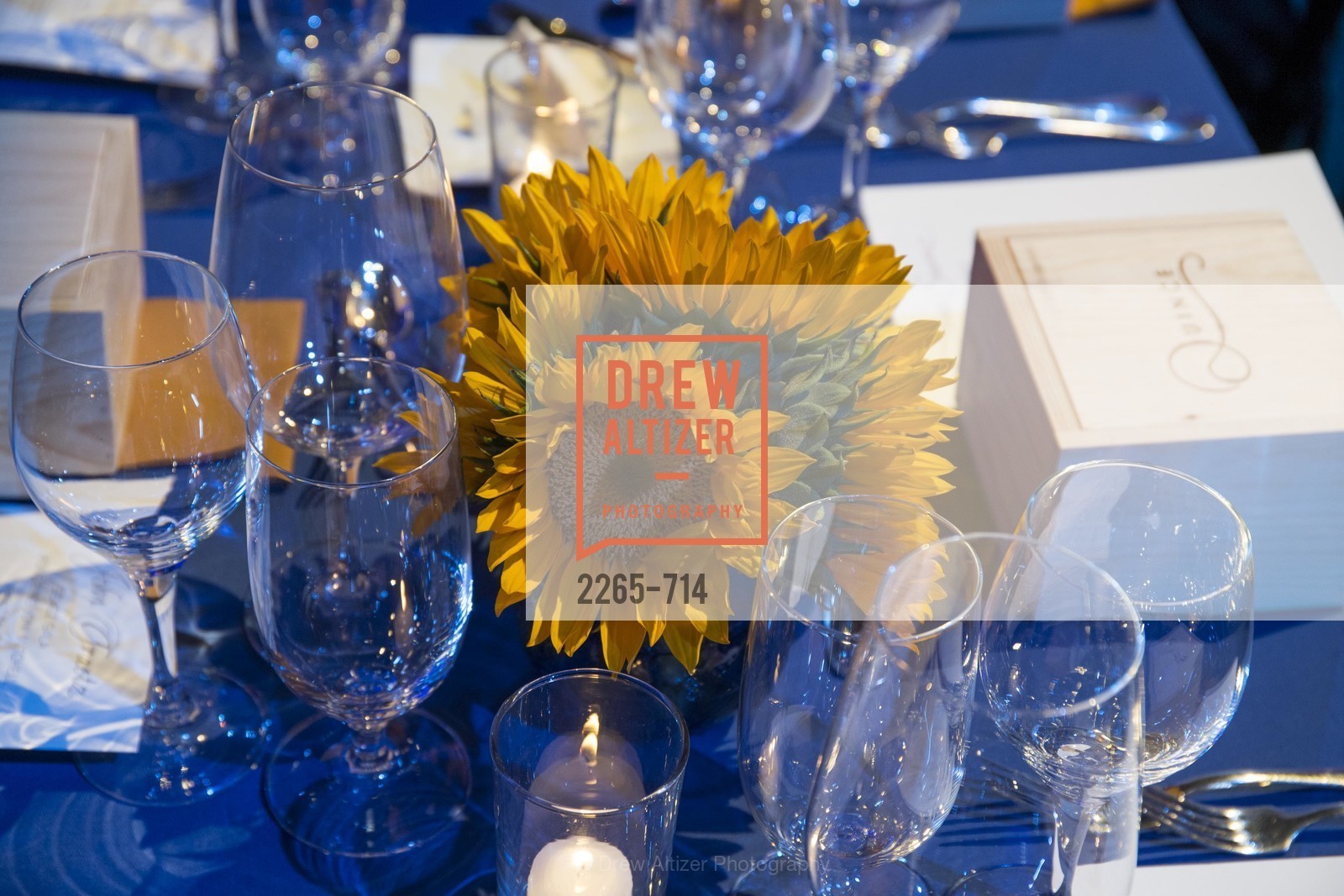 Atmosphere, SFJAZZ Gala 2015 Honors Joni Mitchell with Lifetime Achievement Award, US, May 9th, 2015,Drew Altizer, Drew Altizer Photography, full-service agency, private events, San Francisco photographer, photographer california