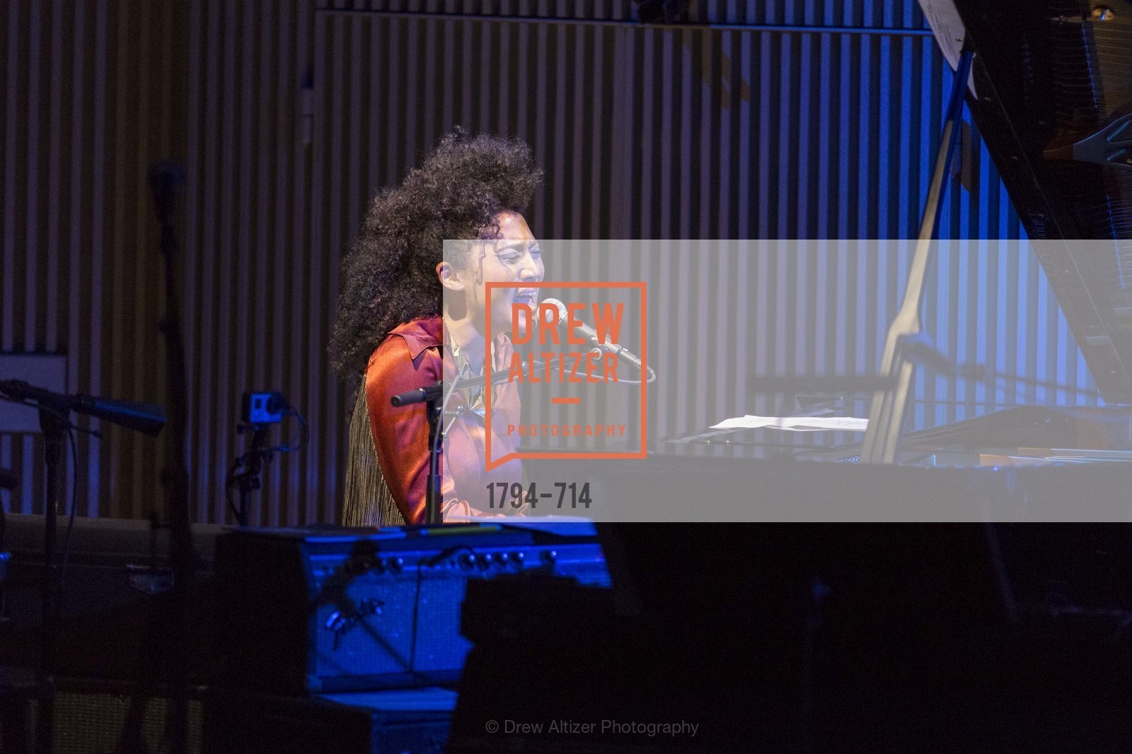 Performance By Judith Hill, Photo #1794-714