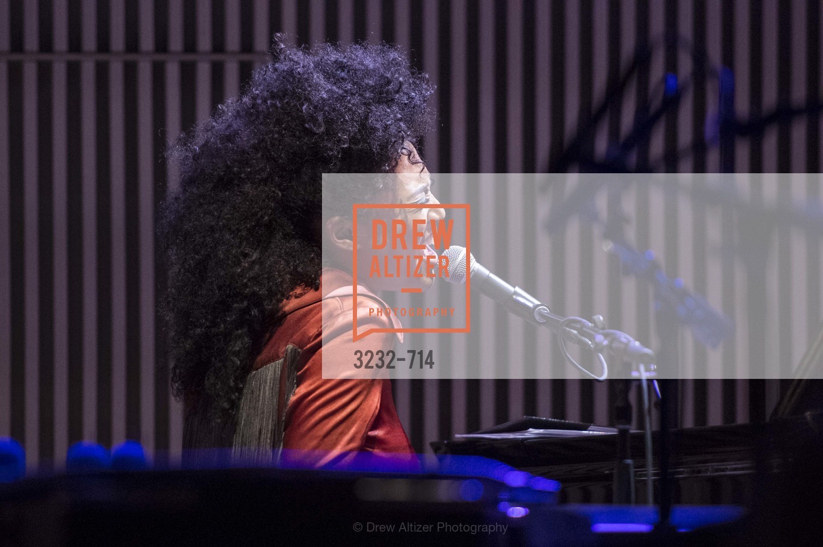 Performance By Judith Hill, Photo #3232-714
