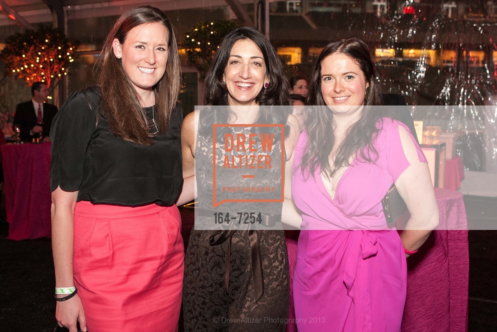 Mary Raleigh, Pam Baer, Jennifer Shimer, 2013 HEARTS AFTER DARK benefitting San Francisco General Hospital Foundation, US, February 15th, 2013, Photo #164-7254 Mary Raleigh, Pam Baer, Jennifer Shimer, Photo #164-7254