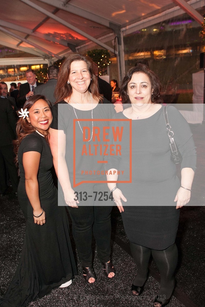 Juliet Palarca, Patty Coggan, Terry Dentoni, 2013 HEARTS AFTER DARK benefitting San Francisco General Hospital Foundation, US, February 15th, 2013, Photo #313-7254 Juliet Palarca, Patty Coggan, Terry Dentoni, Photo #313-7254