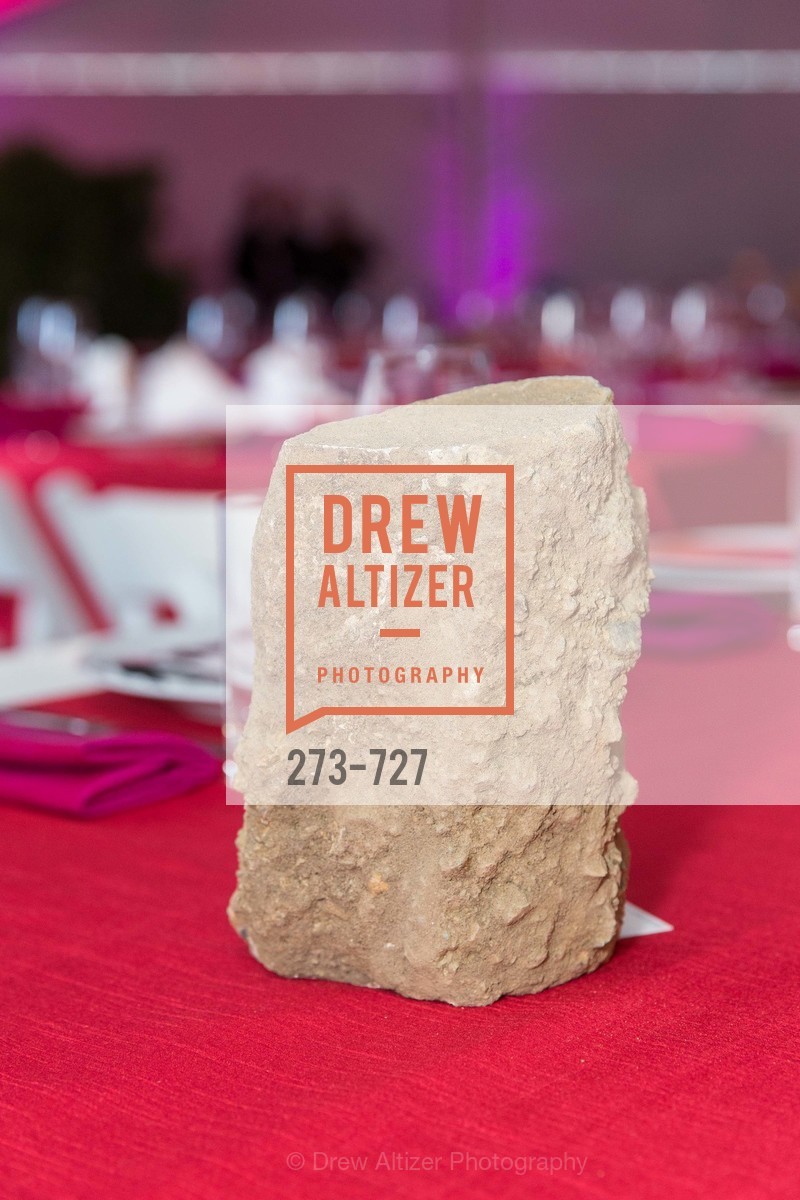 Atmosphere, SAN FRANCISCO ART INSTITUTE Gala Honoring Art Visionary and Advocate ROSELYNE CHROMAN SWIG, US, May 14th, 2015,Drew Altizer, Drew Altizer Photography, full-service agency, private events, San Francisco photographer, photographer california
