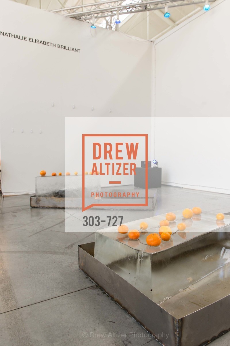 Atmosphere, SAN FRANCISCO ART INSTITUTE Gala Honoring Art Visionary and Advocate ROSELYNE CHROMAN SWIG, US, May 14th, 2015,Drew Altizer, Drew Altizer Photography, full-service agency, private events, San Francisco photographer, photographer california