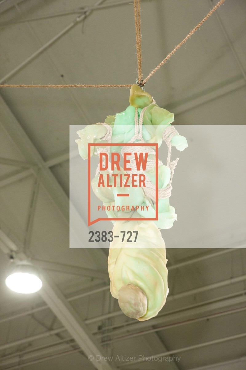 Atmosphere, SAN FRANCISCO ART INSTITUTE Gala Honoring Art Visionary and Advocate ROSELYNE CHROMAN SWIG, US, May 14th, 2015,Drew Altizer, Drew Altizer Photography, full-service agency, private events, San Francisco photographer, photographer california