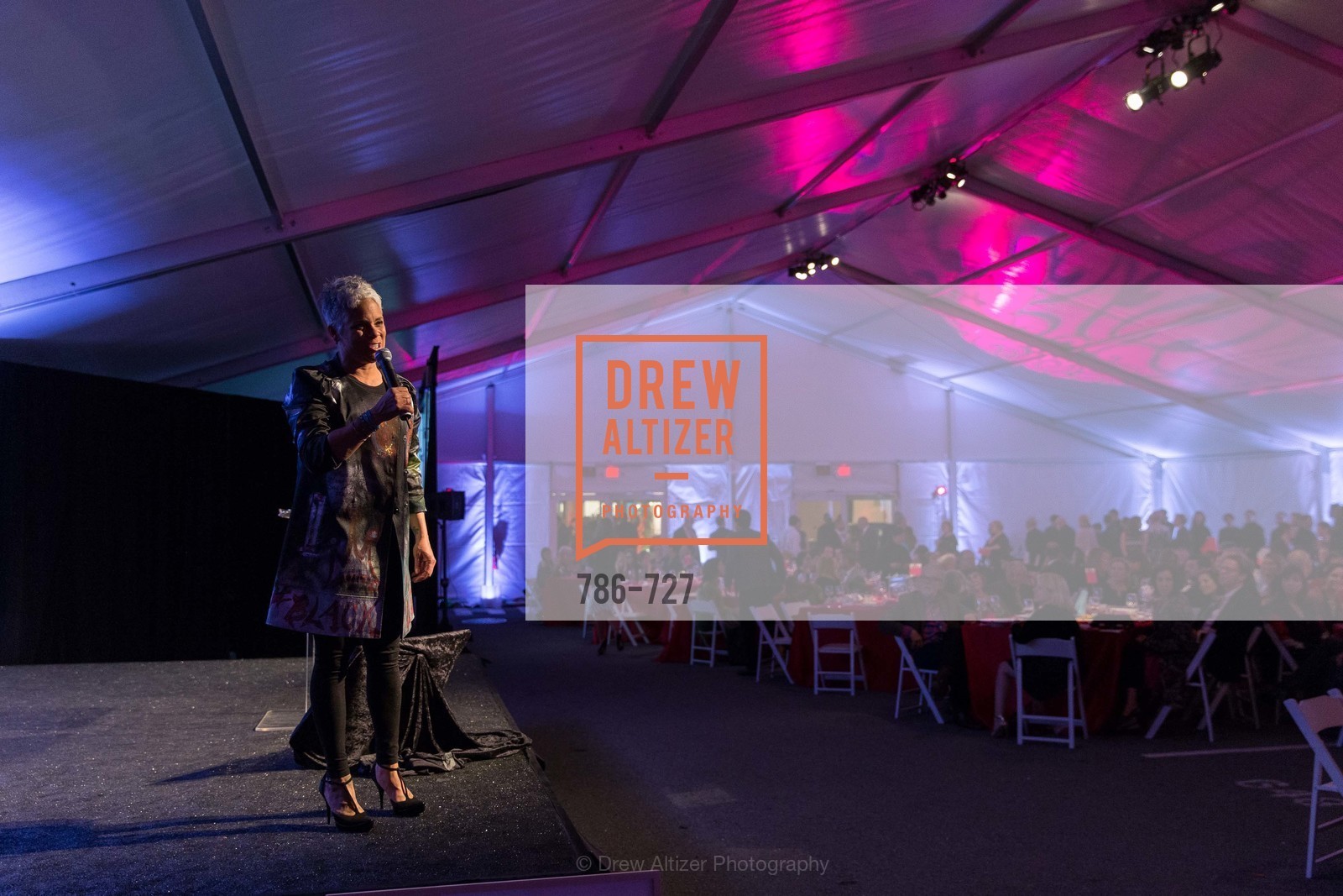 Dana King, SAN FRANCISCO ART INSTITUTE Gala Honoring Art Visionary and Advocate ROSELYNE CHROMAN SWIG, US, May 14th, 2015,Drew Altizer, Drew Altizer Photography, full-service agency, private events, San Francisco photographer, photographer california