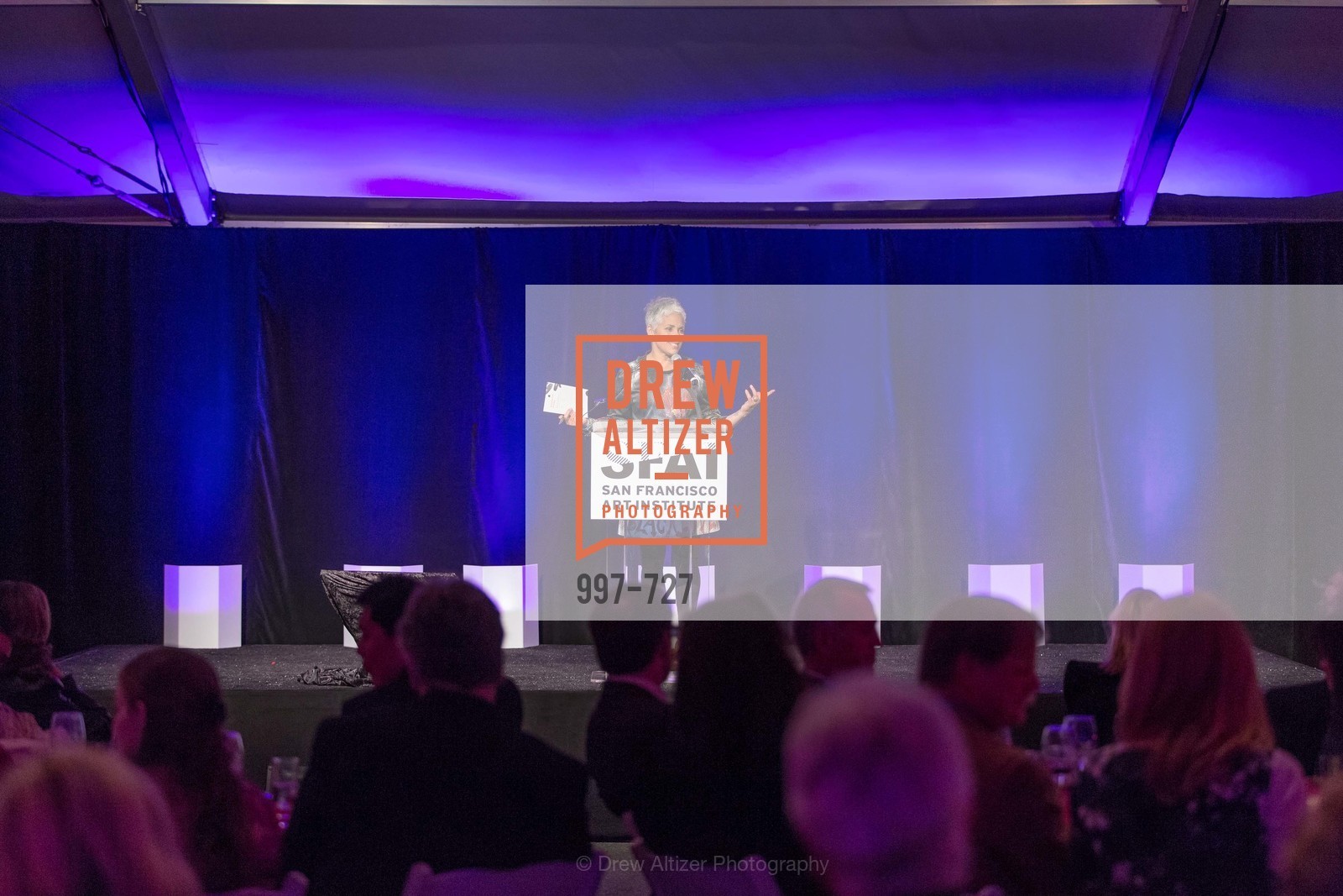 Dana King, SAN FRANCISCO ART INSTITUTE Gala Honoring Art Visionary and Advocate ROSELYNE CHROMAN SWIG, US, May 14th, 2015,Drew Altizer, Drew Altizer Photography, full-service agency, private events, San Francisco photographer, photographer california