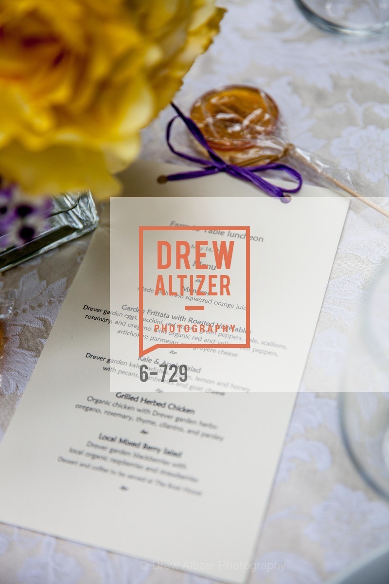 Atmosphere, THE TRUST FOR PUBLIC LAND Luncheon Hosted by THE DREVER FAMILY FOUNDATION, US, May 15th, 2015,Drew Altizer, Drew Altizer Photography, full-service agency, private events, San Francisco photographer, photographer california