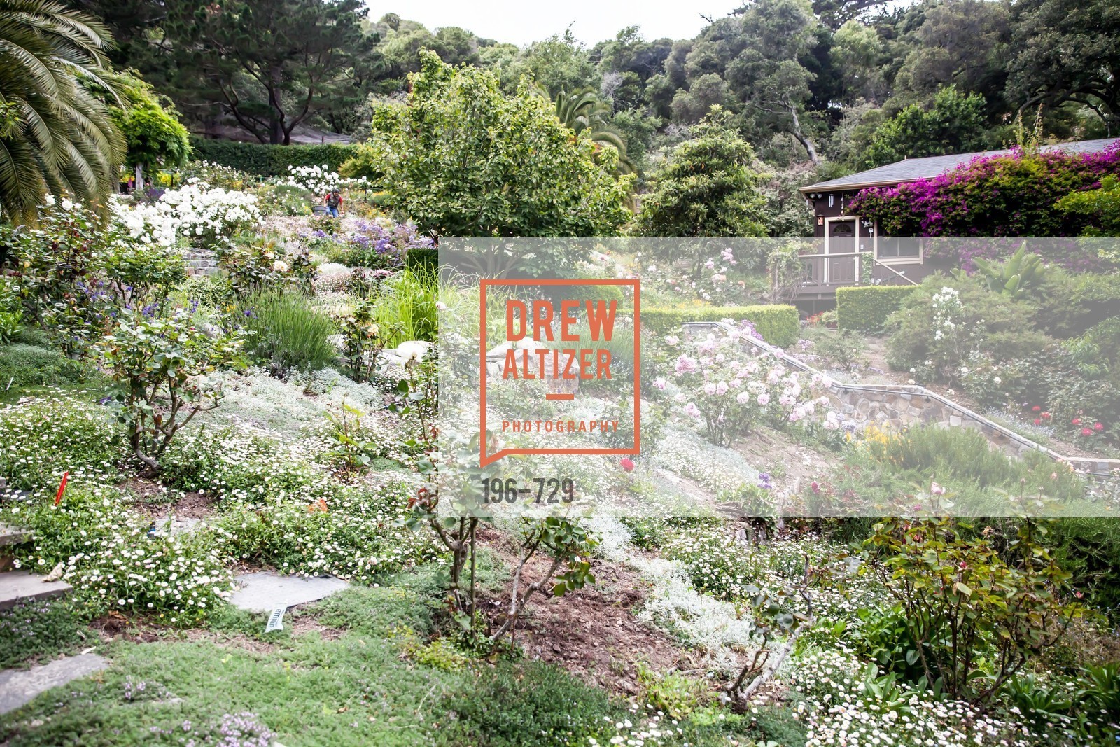 Atmosphere, THE TRUST FOR PUBLIC LAND Luncheon Hosted by THE DREVER FAMILY FOUNDATION, US, May 15th, 2015,Drew Altizer, Drew Altizer Photography, full-service agency, private events, San Francisco photographer, photographer california