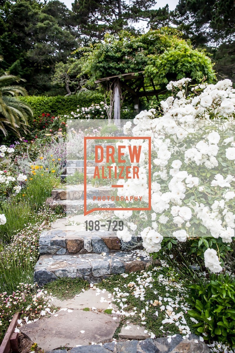 Atmosphere, THE TRUST FOR PUBLIC LAND Luncheon Hosted by THE DREVER FAMILY FOUNDATION, US, May 15th, 2015,Drew Altizer, Drew Altizer Photography, full-service agency, private events, San Francisco photographer, photographer california