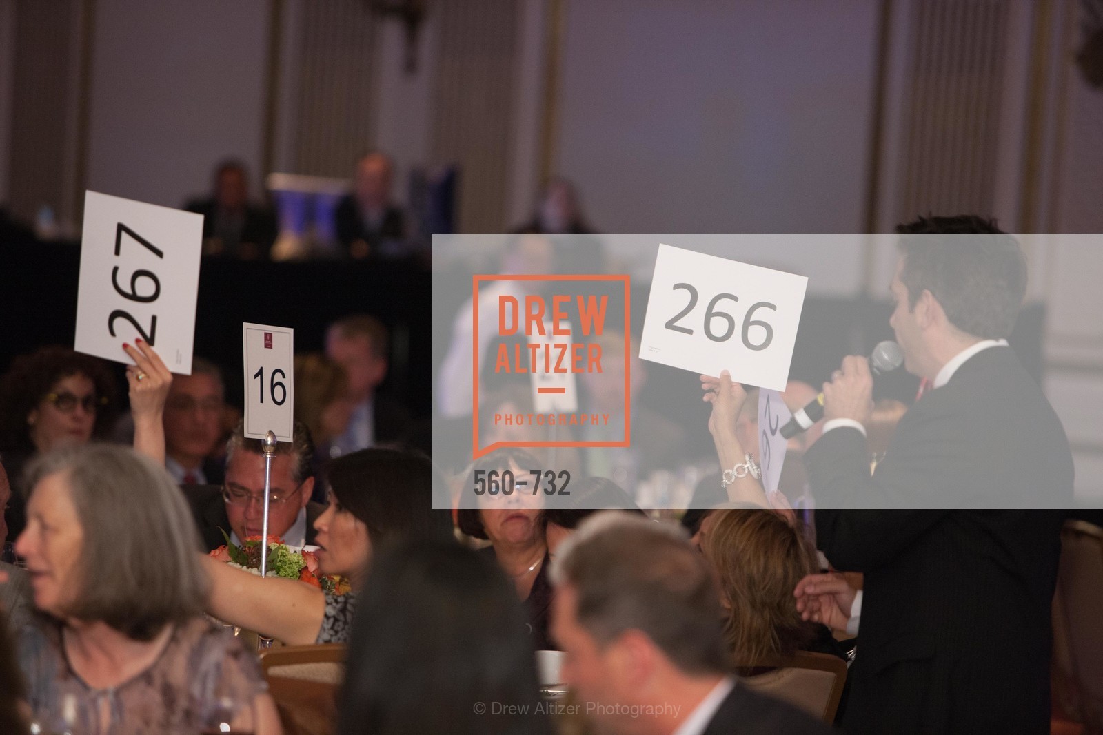 Atmosphere, CROHN'S AND COLITIS FOUNDATION'S 18th Annual California Wine Classic, May 16th, 2015, Photo,Drew Altizer, Drew Altizer Photography, full-service agency, private events, San Francisco photographer, photographer california