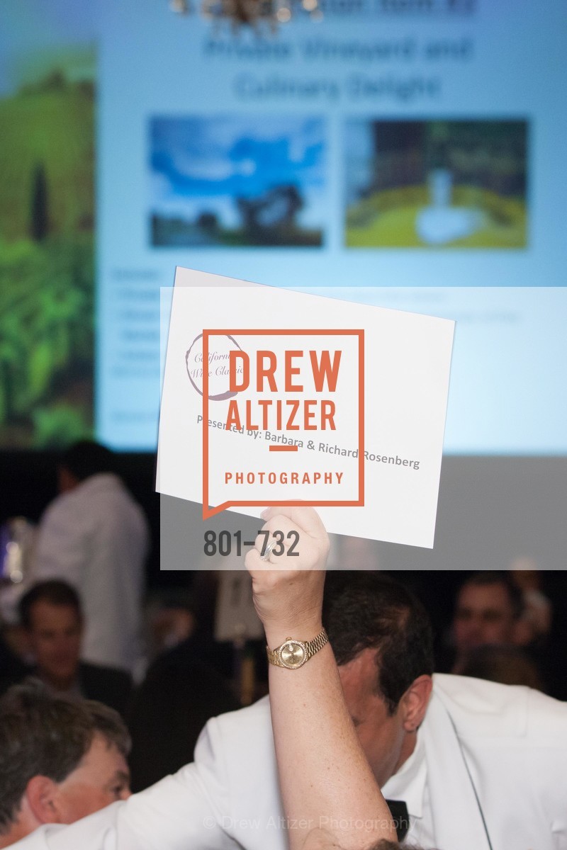 Atmosphere, CROHN'S AND COLITIS FOUNDATION'S 18th Annual California Wine Classic, May 16th, 2015, Photo,Drew Altizer, Drew Altizer Photography, full-service agency, private events, San Francisco photographer, photographer california