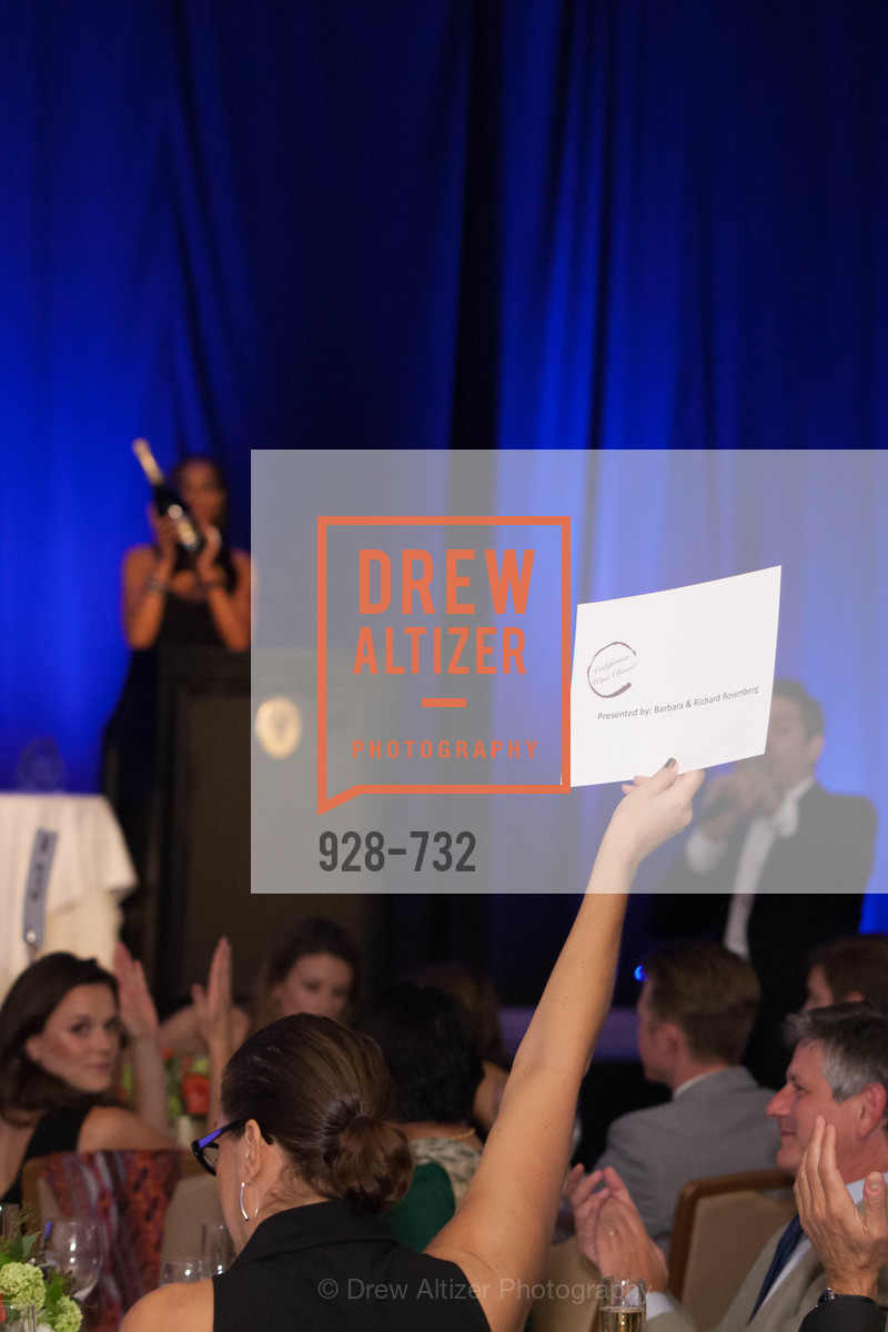 Atmosphere, CROHN'S AND COLITIS FOUNDATION'S 18th Annual California Wine Classic, May 16th, 2015, Photo,Drew Altizer, Drew Altizer Photography, full-service agency, private events, San Francisco photographer, photographer california
