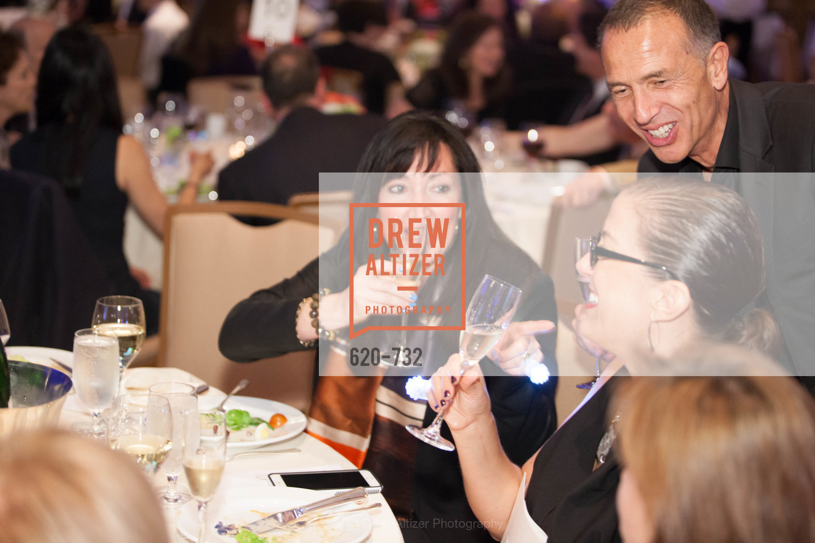 Extras, CROHN'S AND COLITIS FOUNDATION'S 18th Annual California Wine Classic, May 16th, 2015, Photo,Drew Altizer, Drew Altizer Photography, full-service agency, private events, San Francisco photographer, photographer california